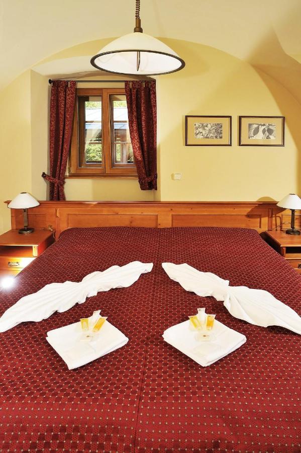 Hotel Kristin Hradek Дечин Экстерьер фото